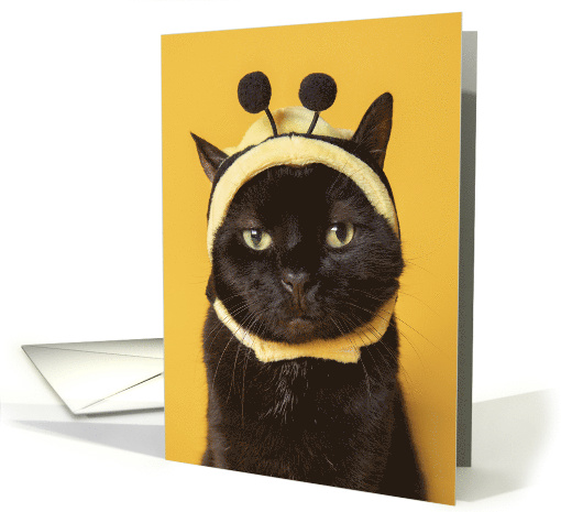 Thinking of You Funny Cat in Bumblebee Hat Humor card (1686432)