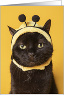 Thinking of You Funny Cat in Bumblebee Hat Humor card