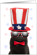 Happy Fourth of July Cool Cat in Sunglasses Humor card