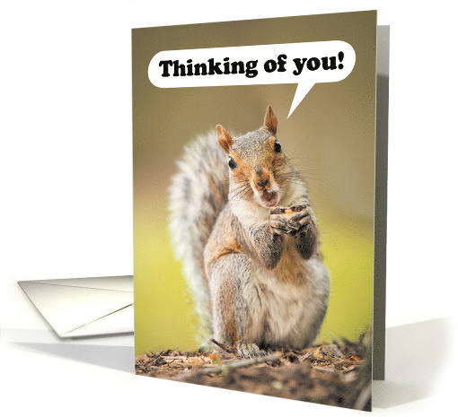 Thinking of You at Summer Camp Cute Talking Squirrel card (1686818)
