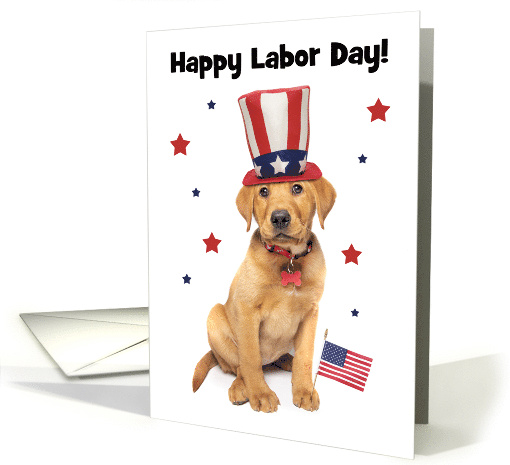 Happy Labor Day Patriotic Red Fox Labrador Puppy Humor card (1689404)