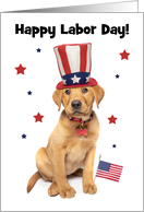 Happy Labor Day Patriotic Red Fox Labrador Puppy Humor card