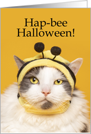 Happy Halloween For Anyone Cat in Bee Cosutme Humor card