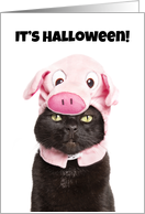 Happy Halloween For Anyone Cat in Pig Cosutme Humor card