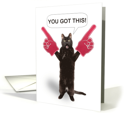 You Got This Cat Cheering With Foam Fingers Encouragement Humor card