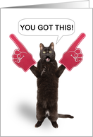 You Got This Cat Cheering With Foam Fingers Encouragement Humor card
