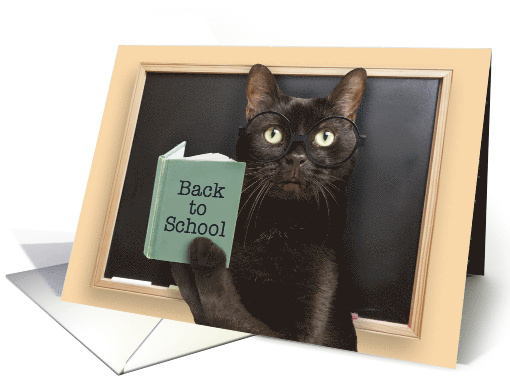 Back to School Cat Reading Book Humor card (1693468)