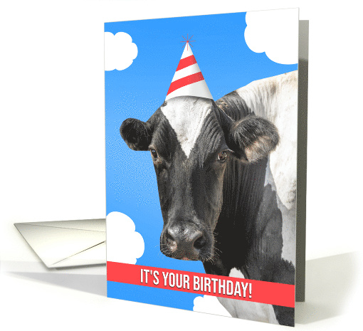Happy Birthday For Anyone Cow Humor card (1697812)