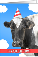 Happy Birthday For Anyone Cow Humor card