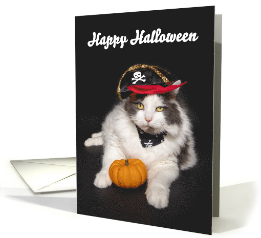 Happy Halloween Cute Cat Dressed as a Pirate Humor card (1703400)