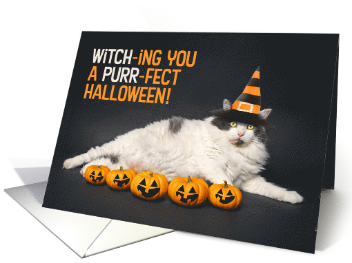 Happy Halloween For Anyone Funny Cat in Witch Hat With... (1703502)