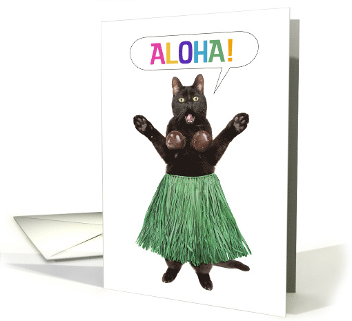 Thinking of You Hello Funny Cat in Grass Skirt Saying Aloha Humor card
