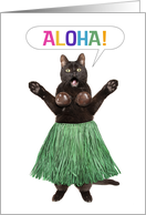 Thinking of You Hello Funny Cat in Grass Skirt Saying Aloha Humor card