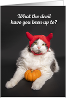 Happy Halloween For Anyone Cat in Devil Costume Humor card