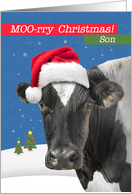 For Son Merry Christmas Funny Cow Humor card