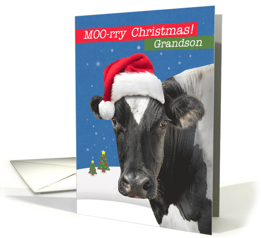 For Grandson Merry Christmas Funny Cow Humor card (1706408)