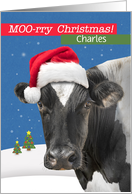 For Custom Name Merry Christmas Funny Cow Humor card