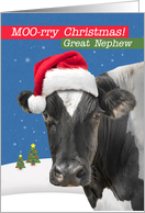 For Great Nephew Merry Christmas Funny Cow Humor card