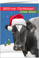 For Great Niece Merry Christmas Funny Cow Humor card