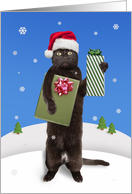 Merry Christmas For Anyone Black Cat With Gifts in the Snow Humor card