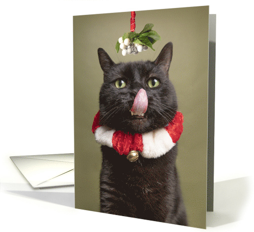 Merry Christmas For Anyone Cat Under Mistletoe with... (1712542)