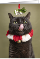 Merry Christmas For Anyone Cat Under Mistletoe with Tongue Out Humor card