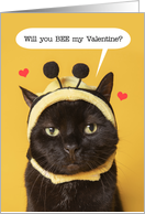 Happy Valentine’s Day Cat Dressed In Bee Costume Humor card