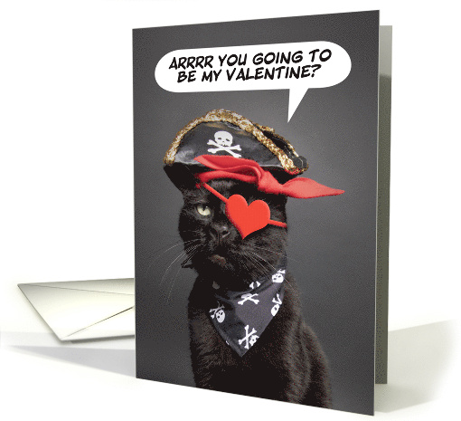 Happy Valentine's Day Funny Cat Pirate Humor card (1717000)