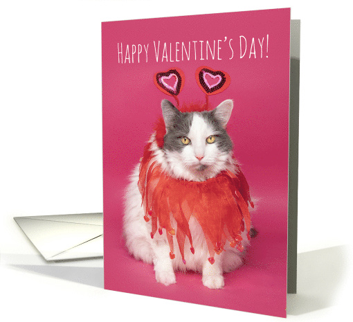 Happy Valentine's Day For Anyone Warm and Fuzzy Cat in... (1721958)