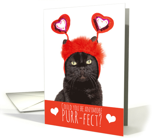 Happy Valentine's Day Cute Cat in Heart Headband Humor card (1721960)