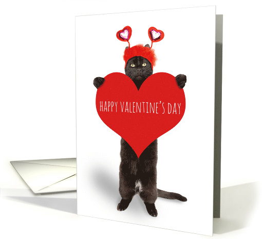 Happy Valentine's Day Cute Cat Holding Heart Humor card (1722162)