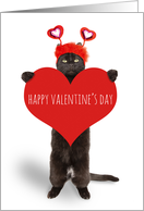 Happy Valentine’s Day Cute Cat Holding Heart Humor card