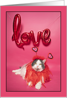 Happy Valentine’s Day Cat Love Humor card