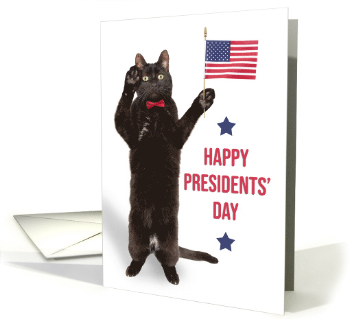 Happy Presidents' Day Cat Saluting With Flag Humor card (1723196)