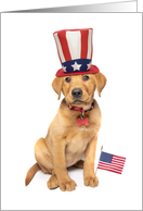 Happy Presidents’ Day Cute Patriotic Puppy in Hat Humor card