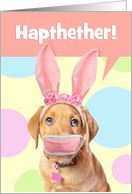 Happy Easter For Anyone Puppy in Covid Mask Can’t Speak Humor card