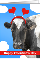 Happy Valentine’s Day For Anyone Cute Cow Humor card