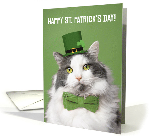 Happy St Patricks Day For Anyone Cute Kitty in Green Humor card