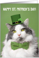 Happy St Patricks Day For Anyone Cute Kitty in Green Humor card