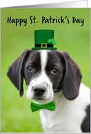 Happy St Patricks Day For Anyone Cute Beagle Puppy Humor card