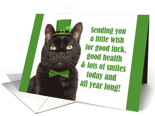 Happy St Patricks Day For Anyone Cute Black Cat Humor card (1726140)