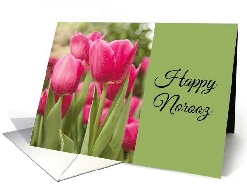 Happy Norooz Pink Tulips Photograph card (1726164)