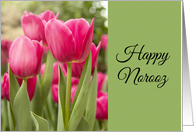 Happy Norooz Pink Tulips Photograph card