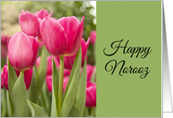 Happy Norooz Pink...