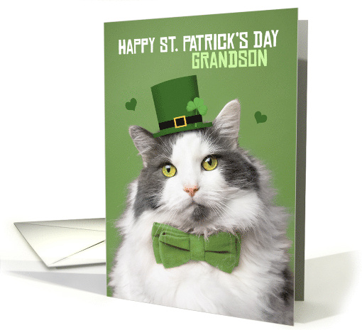 Happy St Patricks Day Grandson Cute Kitty in Green Humor card