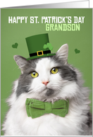 Happy St Patricks Day Grandson Cute Kitty in Green Humor card