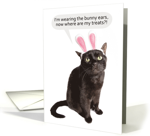 Happy Easter For Anyone Funny Cat Mad About Bunny Ears Humor card