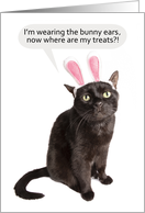 Happy Easter For Anyone Funny Cat Mad About Bunny Ears Humor card