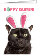Happy Easter For Anyone Funny Cat in Bunny Ears card