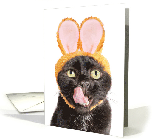 Happy Easter For Anyone Cat in Bunny Ears Licking Face Humor card